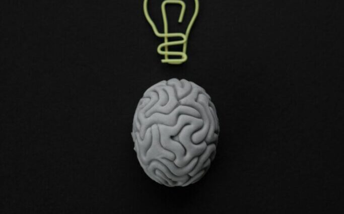 A gray brain sculpture with a light bulb drawn above it on a black background.